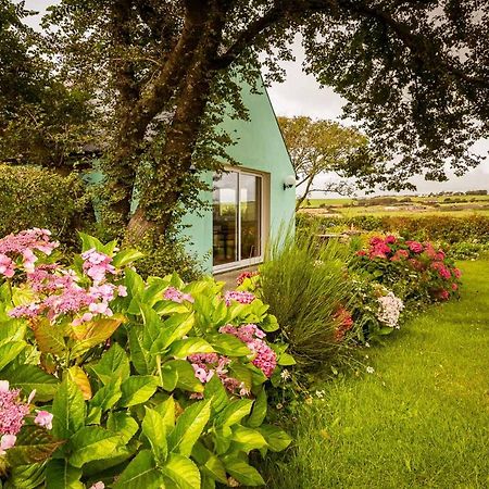 The Wild Atlantic Hideaway Apartman Clonakilty Kültér fotó