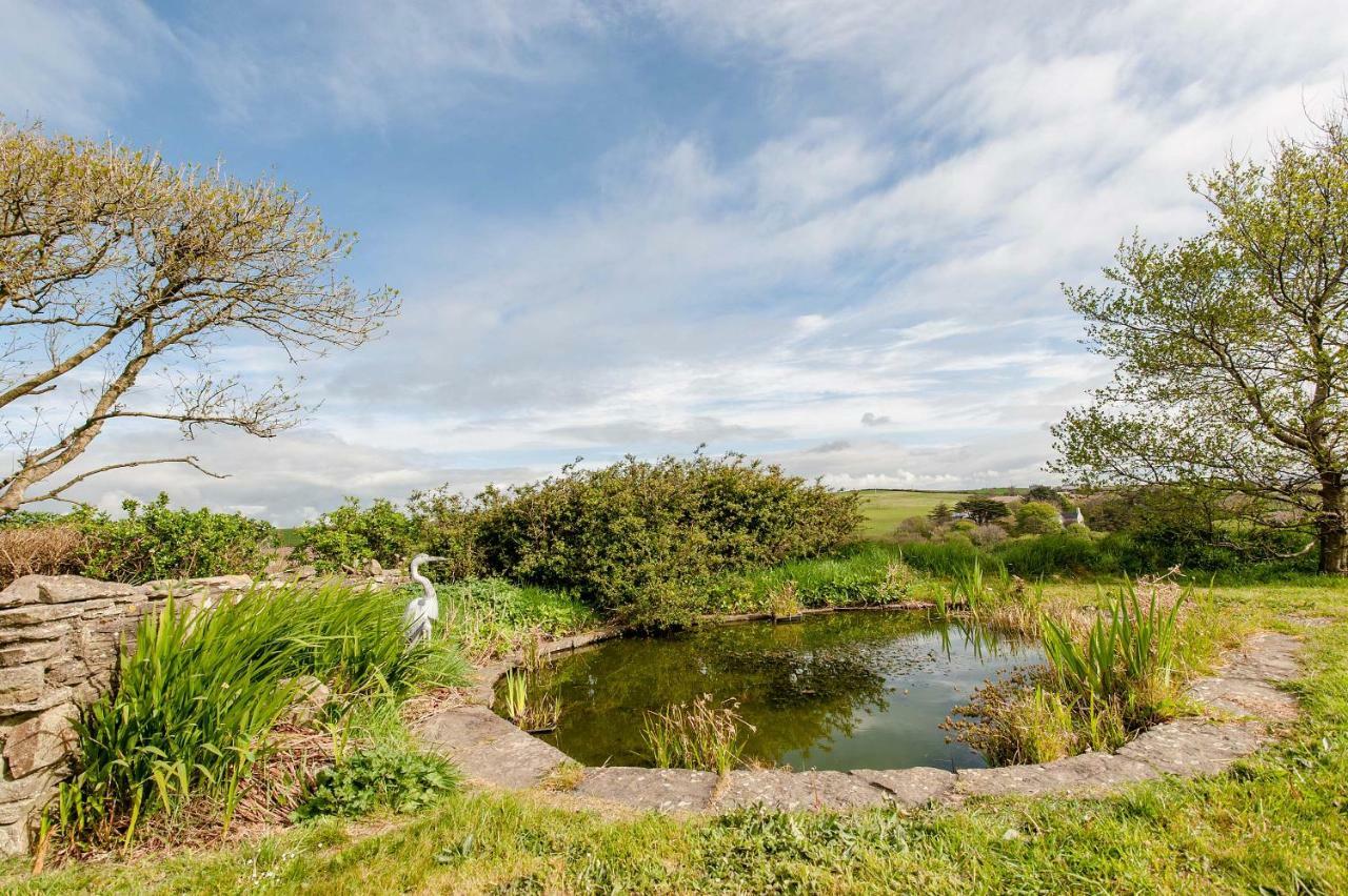 The Wild Atlantic Hideaway Apartman Clonakilty Kültér fotó